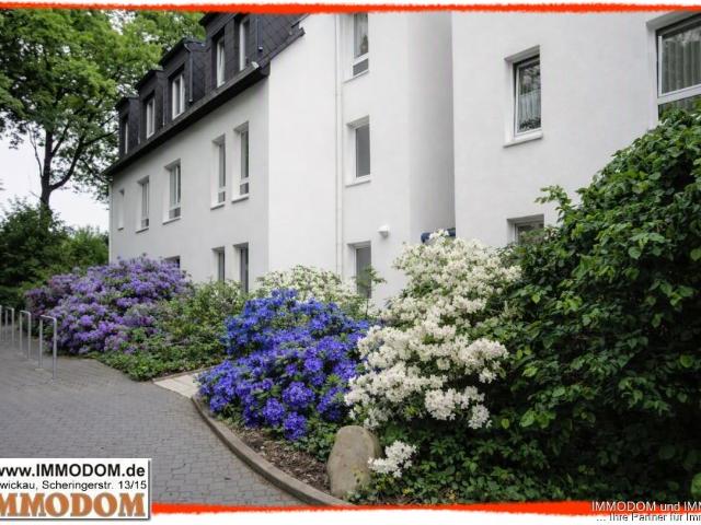 NEU renovierte 3 Zimmer Dachwohnung mit toller DACHTERRASSE in Zwickau Weißenborn zu vermieten!