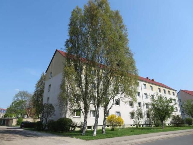 Neu renovierte 3,5 Raumwohnung mit Kraxelbonus