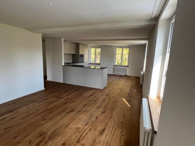 Neu renovierte 3.5 Zimmerwohnung in charmantem Bauernhaus im Grünen
