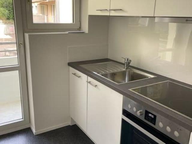 Neu renovierte und attraktive schöne 3 Zimmerwohnung an ruhiger Lage mit neuer Küche und WC/Bad