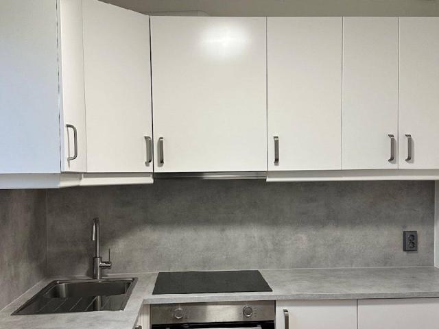 Neu renovierte Wohnung zu verkaufen vermietet!