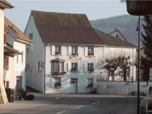Cosy Altbauwohnung, ganz renoviert