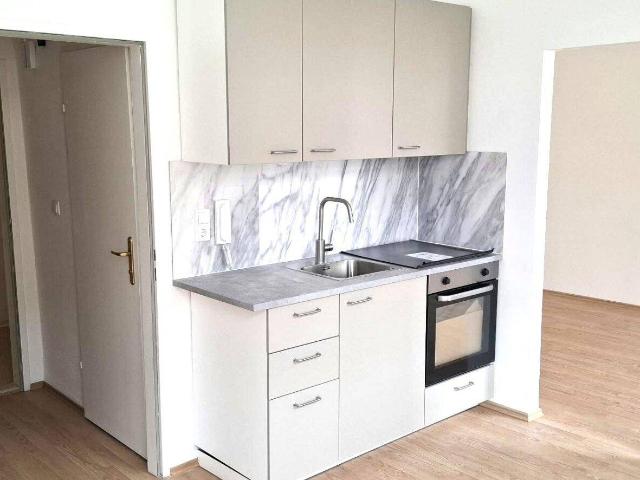 Neu renovierte Singlewohnung in Bahnhofs und Zentrumsnähe!