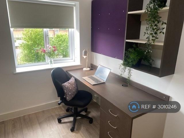 Neuadd Y Castell, Bangor, LL57 2 bed flat to rent £975 pcm £225 pw