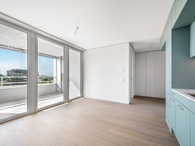 Neubauwohnung mit Aussicht in Uster