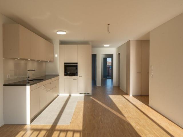 Neubauwohnung mit Freecooling System, Erdsonden Heizung, Photovoltaik Strom