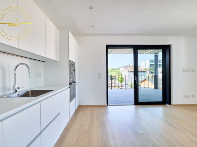 NEUBAU 3.5 ZIMMIGER APARTMENT MIT TERRASSE N3