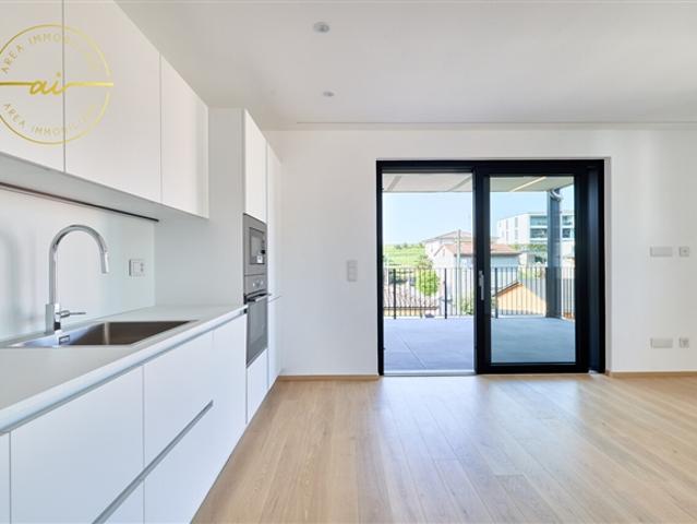 NEUBAU 3.5 ZIMMIGER APARTMENT MIT TERRASSE N3