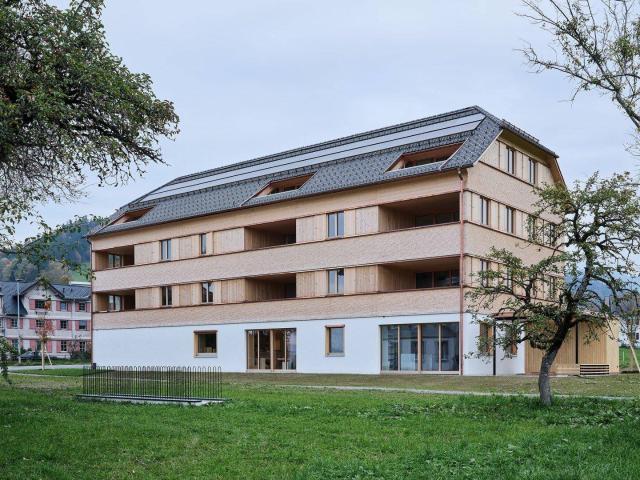 NEUBAU 3 Zimmer Wohnung mit Terrasse und traumhaftem Sonnenuntergang in Lingenau zum Kauf