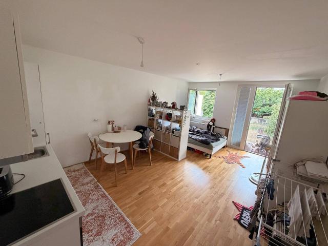 Neubau Apartment mit Balkon und Lift ab August 2026