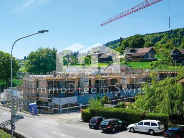 Pfeffikon, Rickenbach, Kanton Luzern, Kanton Luzern