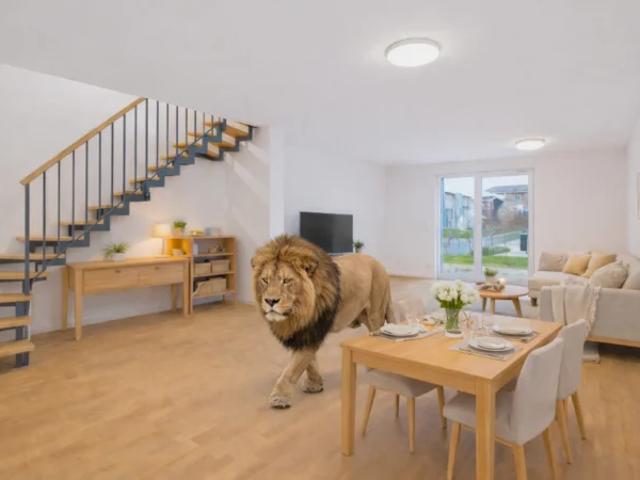 Neubau DHH mit Garten, Balkon und Dachterrasse