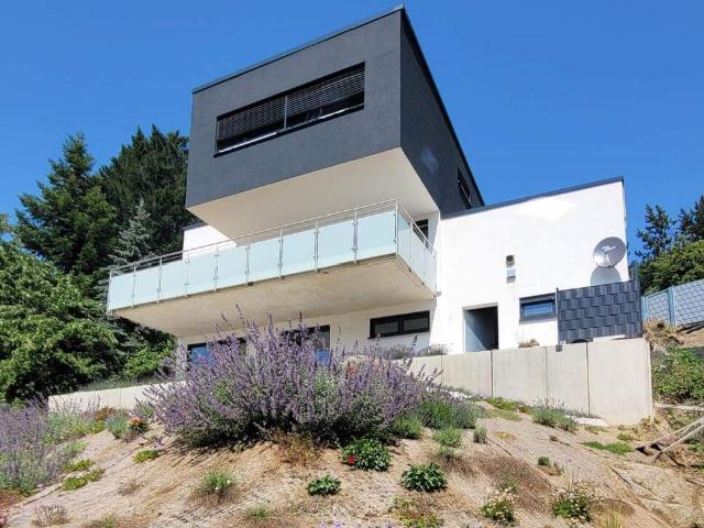 Neubau Erstbezug! Stylisches EFH mit Einliegerwohnung!