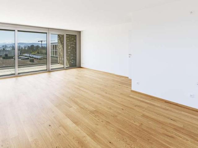Neubau: Helle, moderne 3 Zimmerwohnung mit See und Bergblick