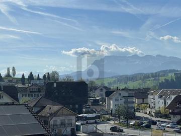 NEUBAU MIT WEITBLICK