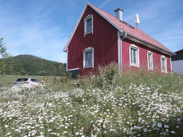 Neubau Schwedisch TORP in der Rhön zuverk