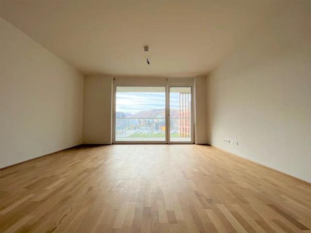 Neubau | Stadtidylle | Balkon
