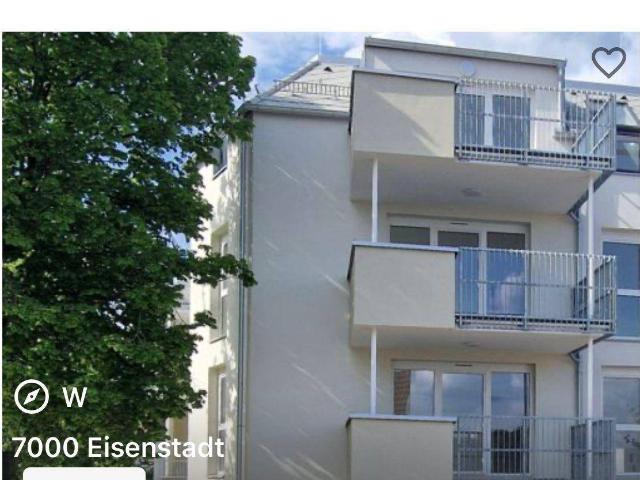 Neubau Wohnung