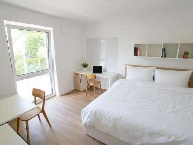 Neubau WG Zimmer für Studierende!