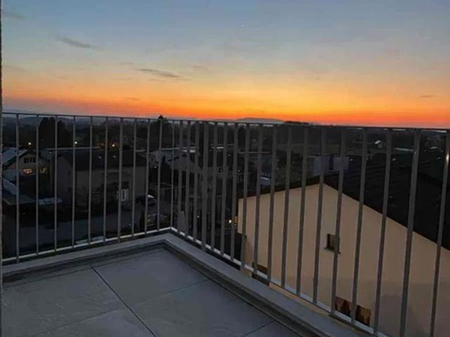 Neubau Terassenwohnung in Hinwil