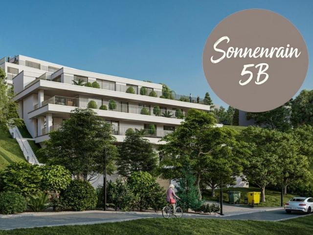 Neubau Terrassenwohnungen Döttingen 5B