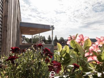 Vogelweide, Wels, Oberösterreich - Keller