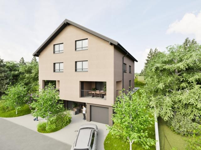 Neubau Umiken Doppeleinfamilienhaus