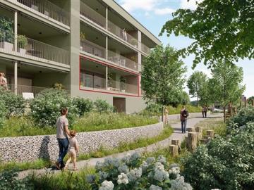 Baubewilligtes Projekt Gemsacker 3.5 Zimmer Erdgeschosswohnung A1 02
