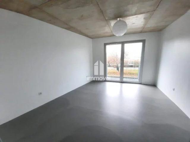 NEUDORF 2P 51.90m²