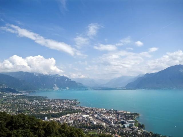 Neue Erdgeschosswohnung, unverbaubarer Seeblick