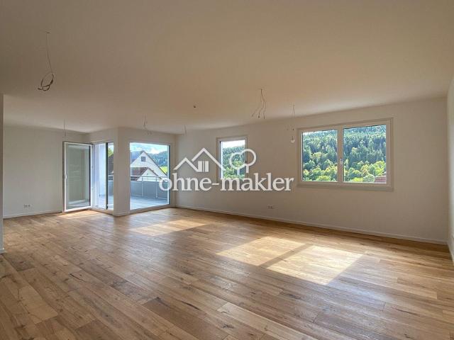 Neue Penthouse Wohnung mit lichtdurchfluteten Räumen und einem Balkon mit tollem Ausblick