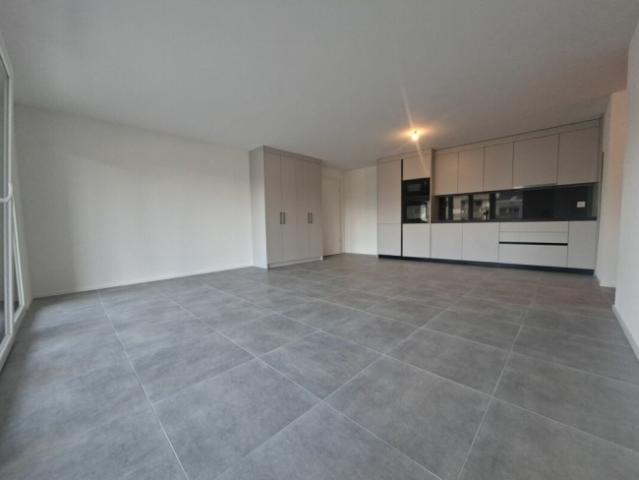 Neue 2,5 Zimmer Wohnung im Erdgeschoss in Farvagny