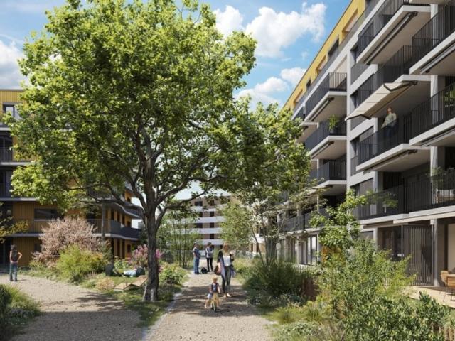 Neue 3,5 Zimmer Wohnung im Erdgeschoss zur Miete in Renens