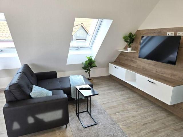 Neues 2 Zimmer Apartment Erstbezug ab 01.03. voll ausgestattet in Innenstadtlage Obernburg