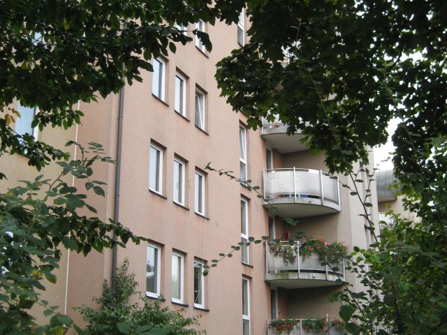 Neues Zuhause gesucht?