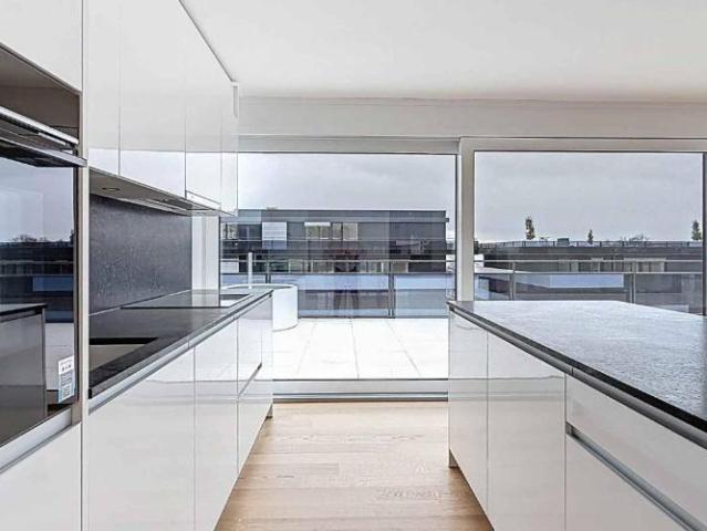 Neues Penthouse mit 4,5 Zimmern und Dachterrasse