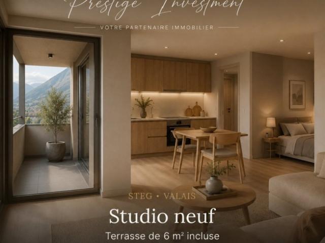 NEUES STUDIO IN STEG VS – AUS CHF 161.000 DRUCK