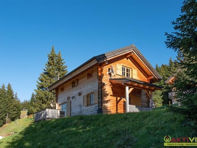 Top Deal ! Alm Chalet auf der Koralpe. Ideal zur Vermietung. Fußläufig zum Ski Lift. Herrlicher Ausblick