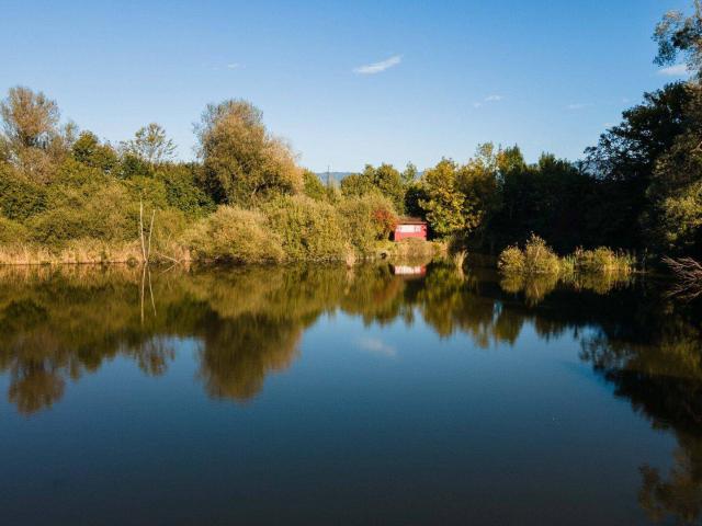 NEUER PREIS – Exklusives Anwesen mit eigenem Weiher in absoluter Ruhelage