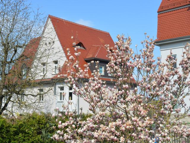 Neuer Start in Meiningen gefällig?