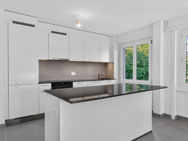 NEUF ! Magnifique appartement de 3.5 pièces entièrement rénové