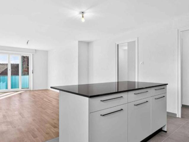 NEUF ! Magnifique appartement de 3.5 pièces entièrement rénové