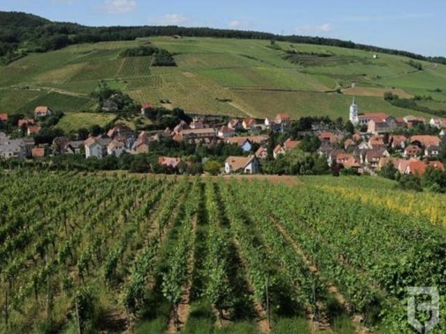 Appartement 4pièces Haut de gamme à Barr