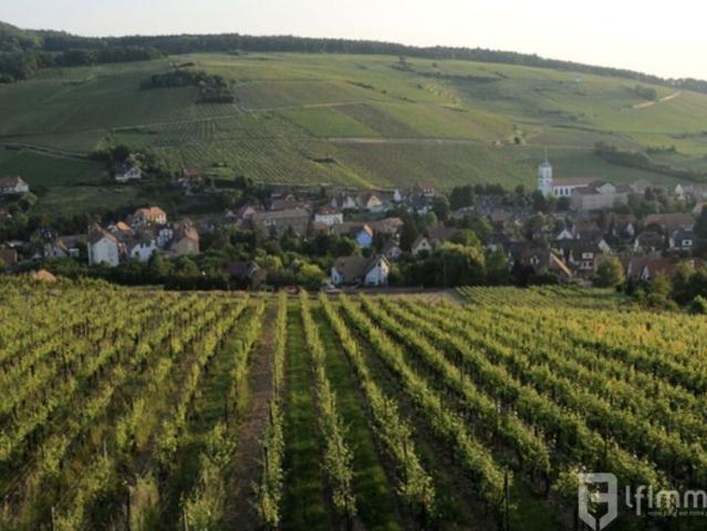 3P Appt Haut de gamme à Barr