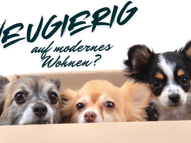 Neugierig auf modernes Wohnen in der Donaustadt?