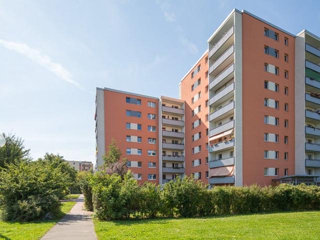 Neumieter ab sofort gesucht frisch saniert