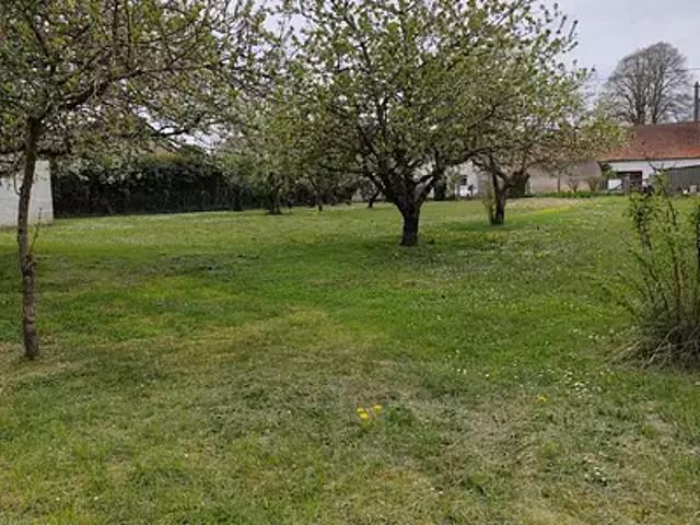 Neung sur Beuvron 41210 Programme neuf maison neuf à vendre 4 pièces