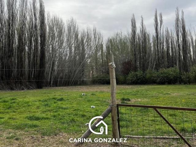 Neuquén, Confluencia