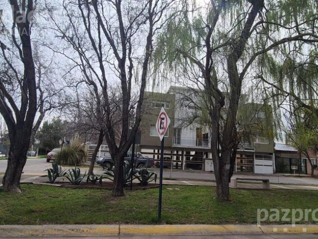 Neuquén, Confluencia