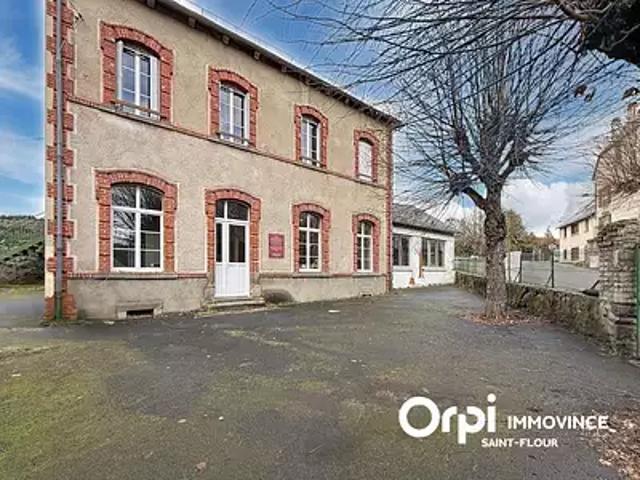 Neussargues en Pinatelle 15170 Achat / Vente maison 3 pièces t3 jardin cave